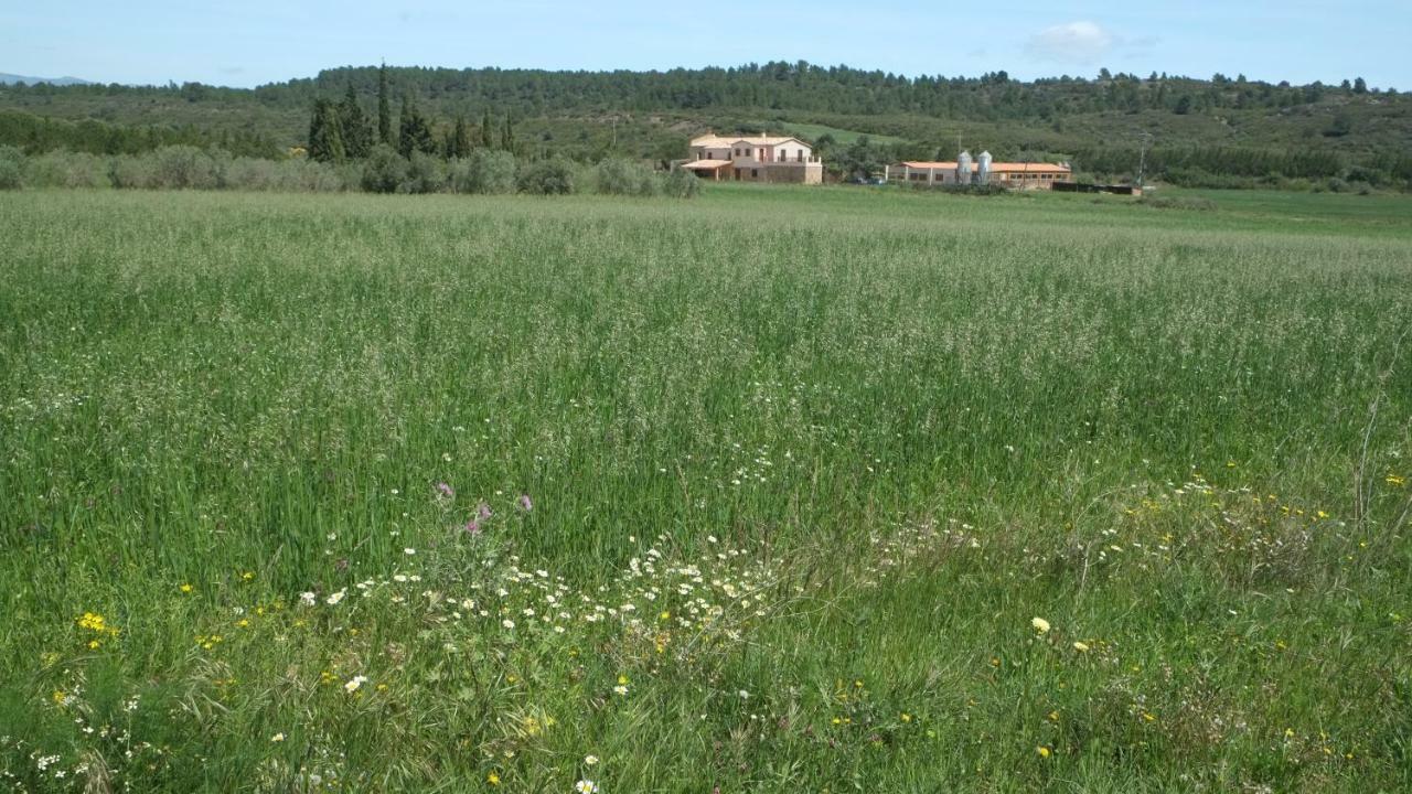 La Masia De Montpedros Peralada Exteriér fotografie